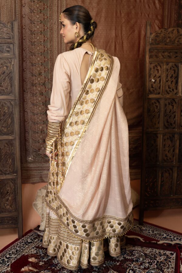 Rasme Anarkali – Pure Monga Silk
