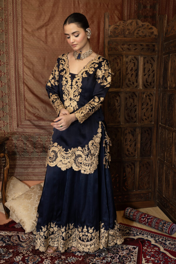 Zareen Sharara Set – Pure Silk Organza